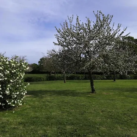 In Saint-clement Near The Sea 度假居 *