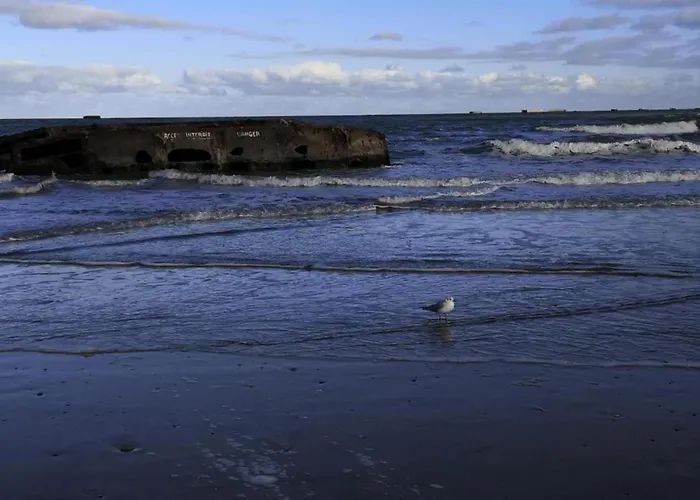 In Saint-clement Near The Sea