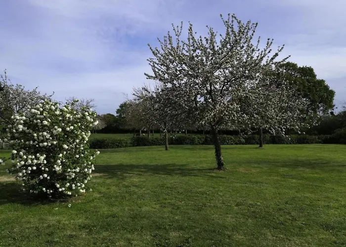 In Saint-clement Near The Sea بيت للعطل *