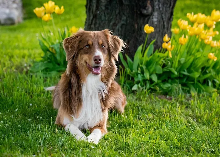 بيت للعطل In Saint-clement Near The Sea *